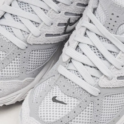 NK Air Pegasus 2005 - Phantom Light Bone Black Metallic Silver