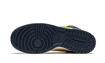 NK Dunk High Michigan