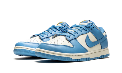 NK Dunk Low Coast