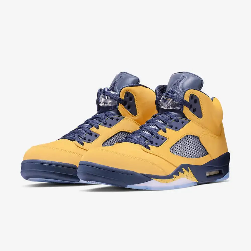 AJ 5 - Michigan