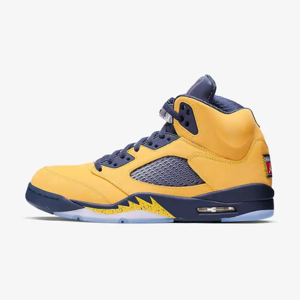 AJ 5 - Michigan