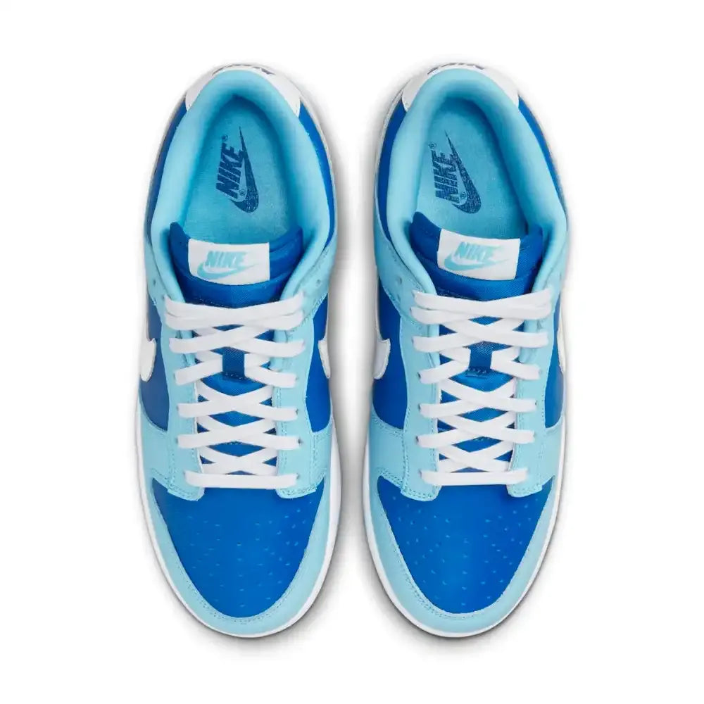 NK Dunk Low Retro Argon