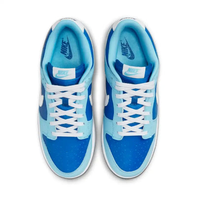 NK Dunk Low Retro Argon