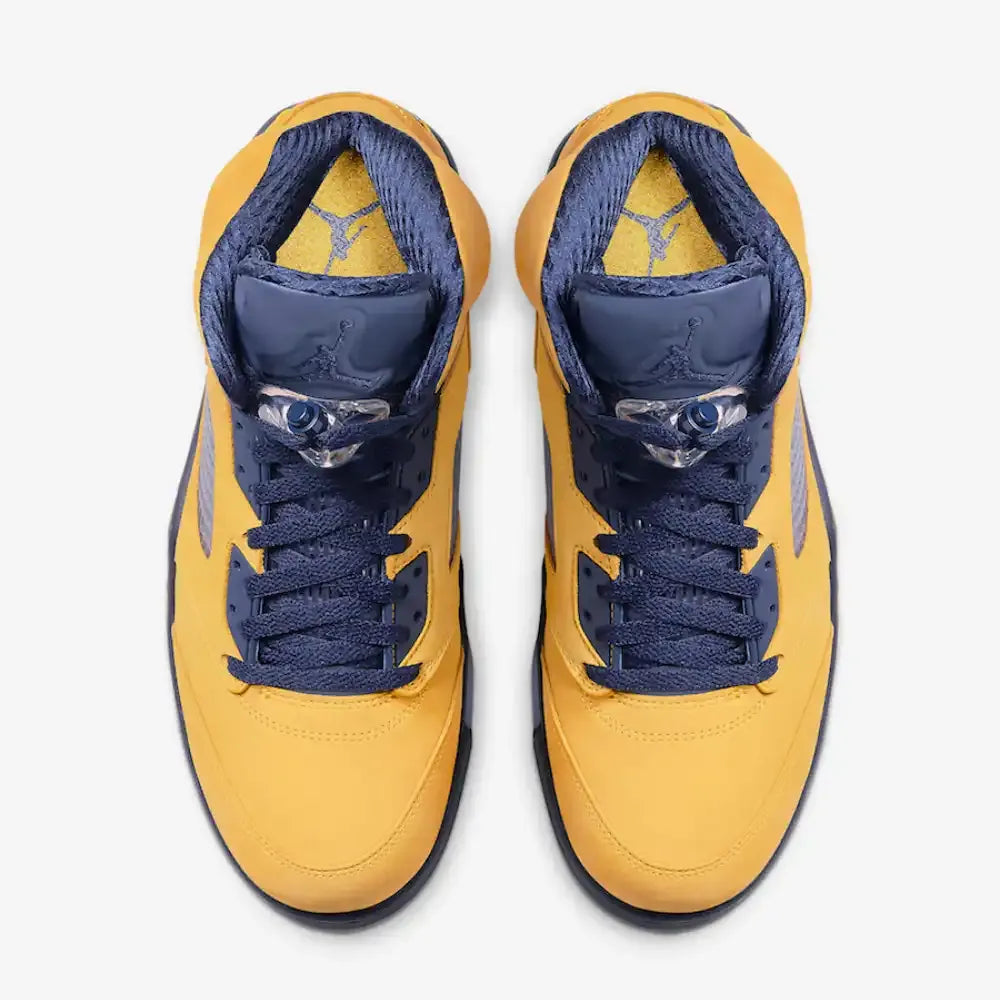 AJ 5 - Michigan