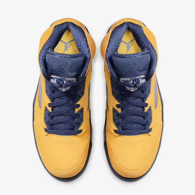 AJ 5 - Michigan