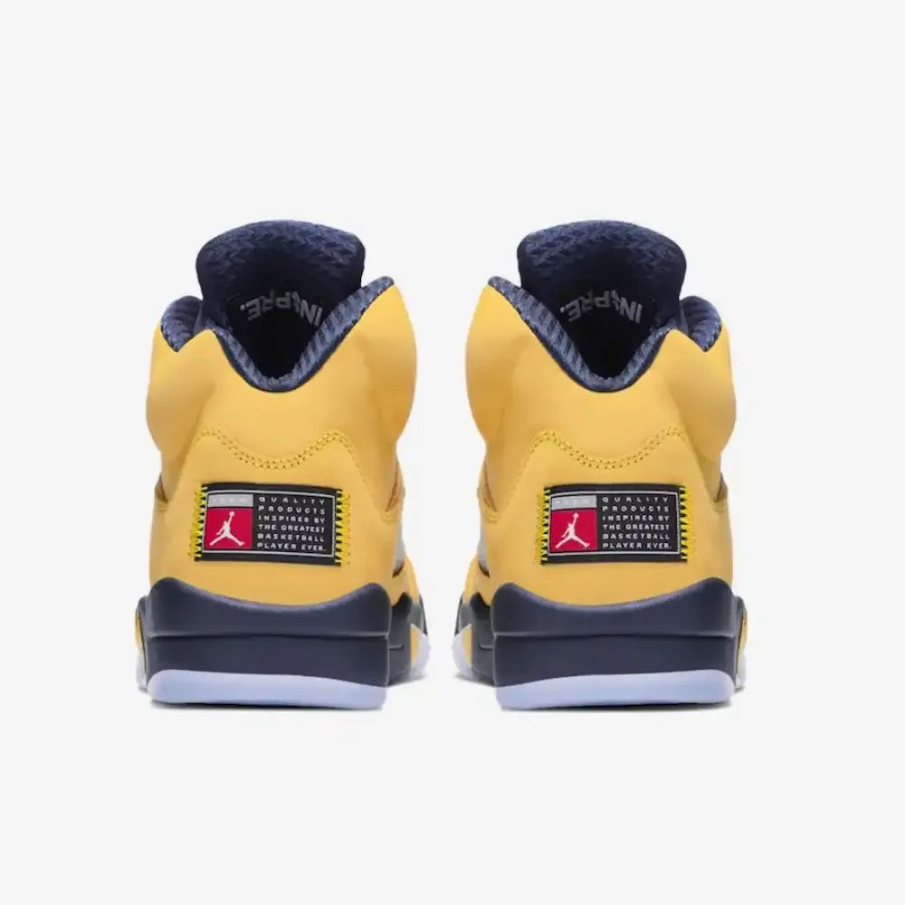 AJ 5 - Michigan