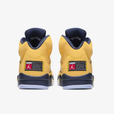 AJ 5 - Michigan