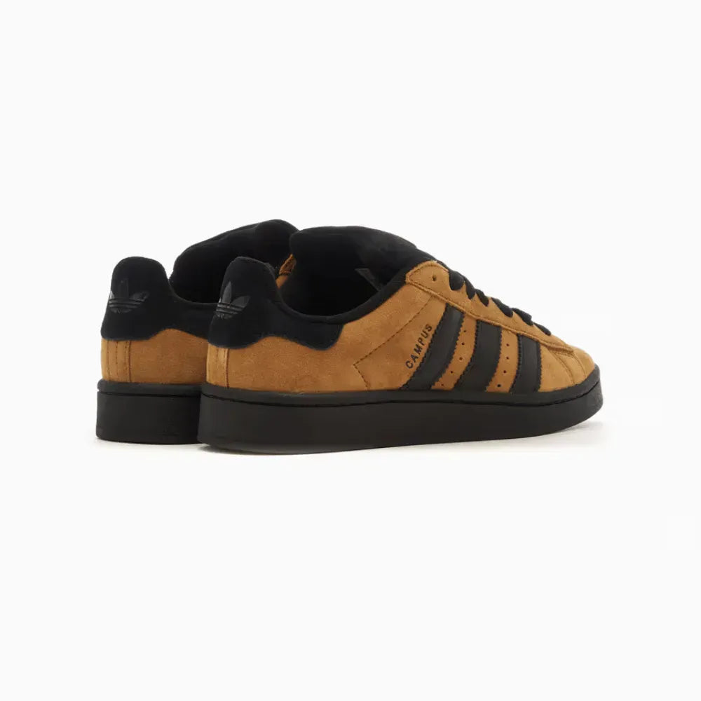 Ad Campus 00s - Brown