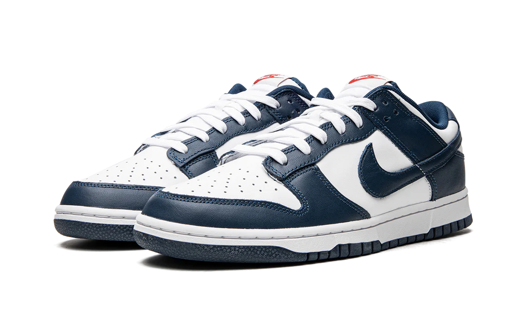 NK Dunk Low Valerian Blue