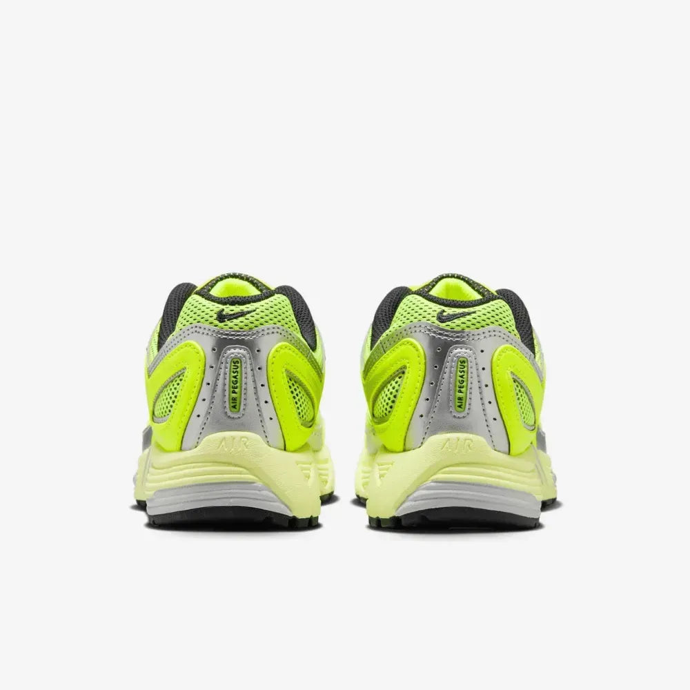 NK Air Pegasus 2005 - Volt