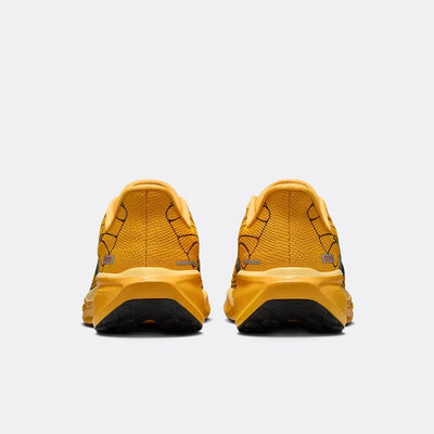 NK Air Zoom Pegasus 41 - Modern Mayfly