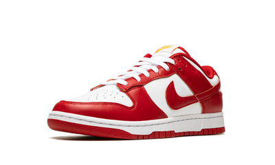 NK Dunk Low USC